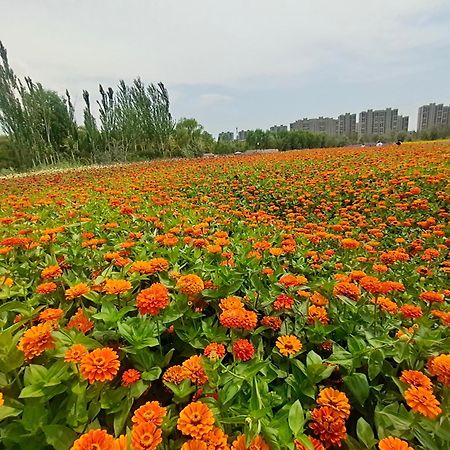 Primus Hotel Yinchuan Bagian luar foto