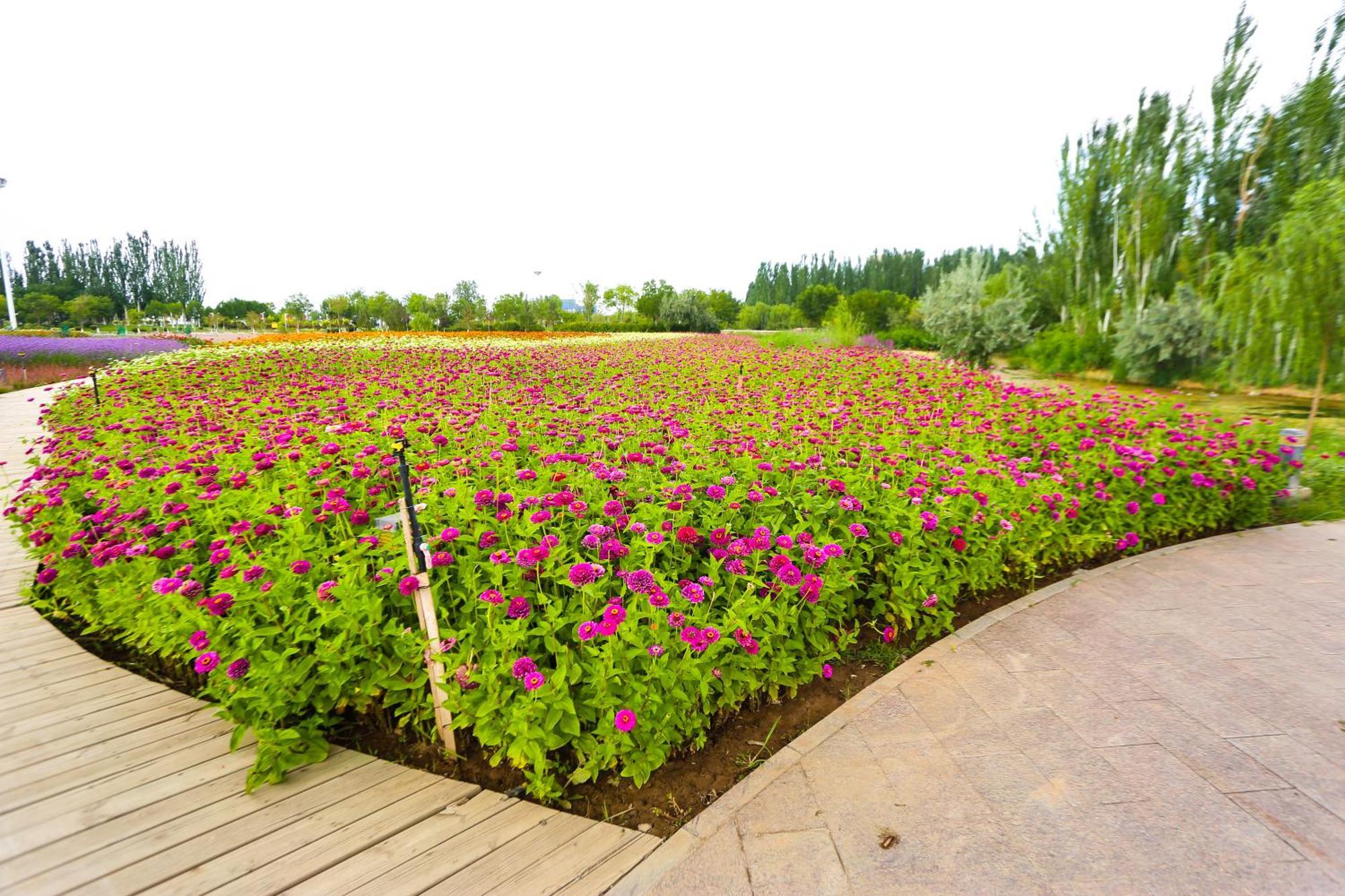 Primus Hotel Yinchuan Bagian luar foto