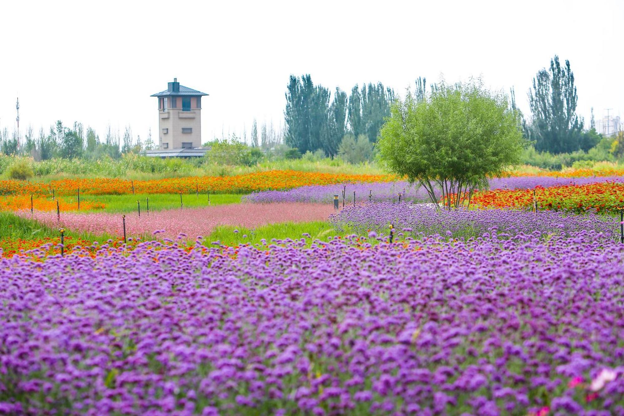 Primus Hotel Yinchuan Bagian luar foto